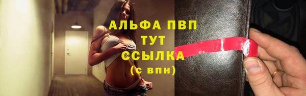 дмт Ельня