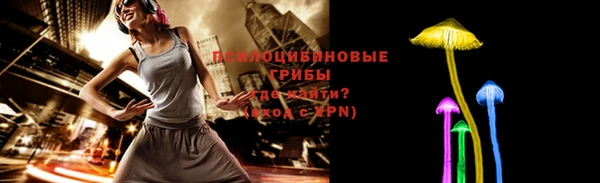 спиды Заводоуковск