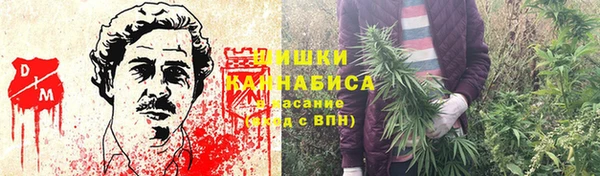 спиды Заводоуковск