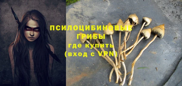 спайс Заволжск
