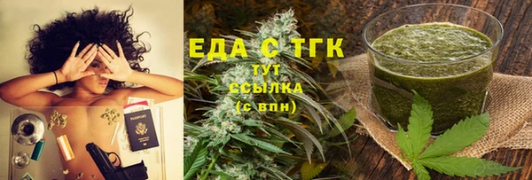 дмт Ельня